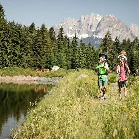 Berghof-chalet Alpstuga Erpfendorf